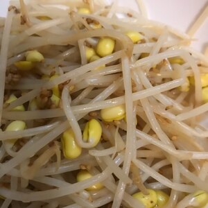 【韓国料理】豆もやしのナムル